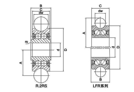Rail Roller Double Row Angular Contact Ball Bearing (LFR Series)