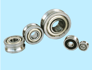 LFR Series double row angular contact roller bearing