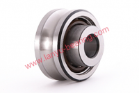 Rail Roller Double Row Angular Contact Ball Bearing (LFR Series)
