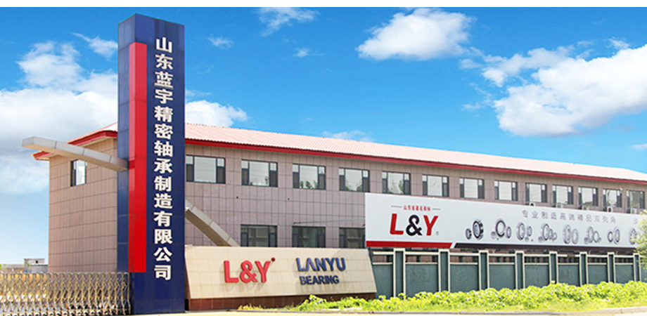 Welcome you visit Lanyu Bearing factory