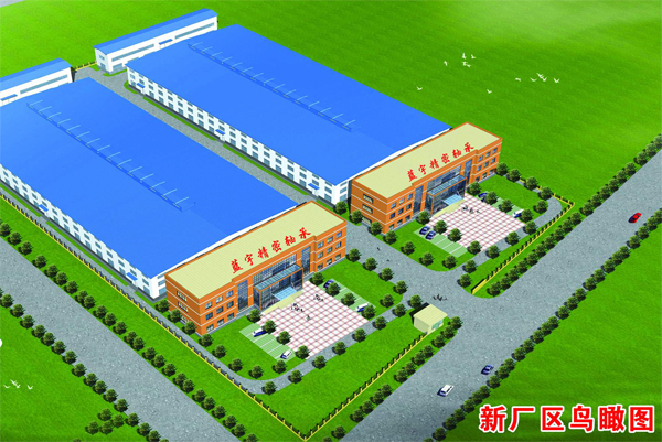 Lanyu Bearing new factory project