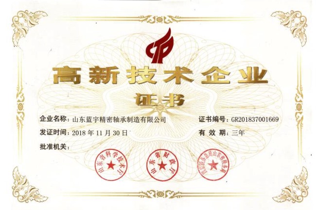 Lanyu Bearing High tech certificate